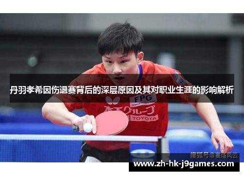 丹羽孝希因伤退赛背后的深层原因及其对职业生涯的影响解析